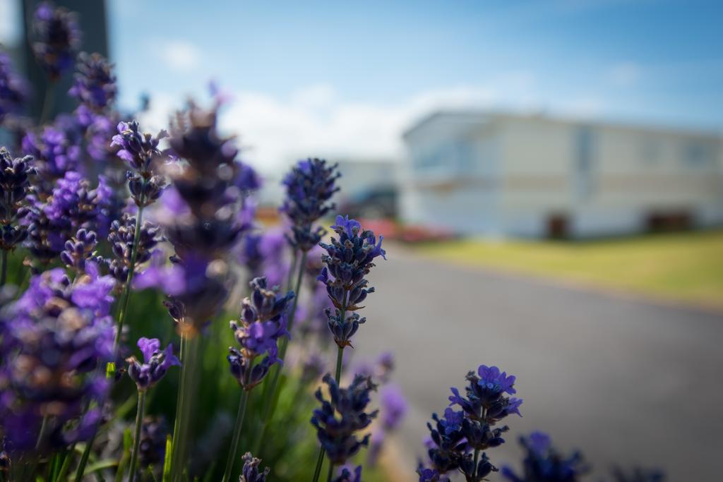 Park Merlo Holiday park